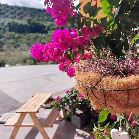 Villa I Sogni Sennori المظهر الخارجي الصورة