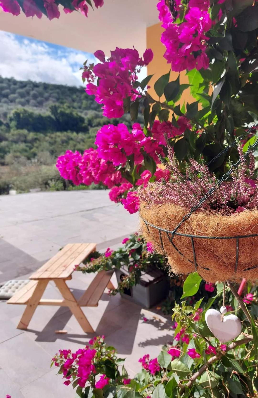Villa I Sogni Sennori المظهر الخارجي الصورة